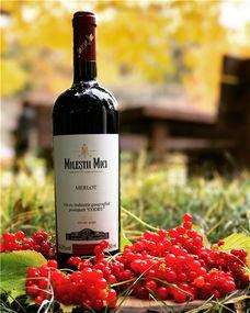 红茨图片,一幅自然画卷的生动描绘